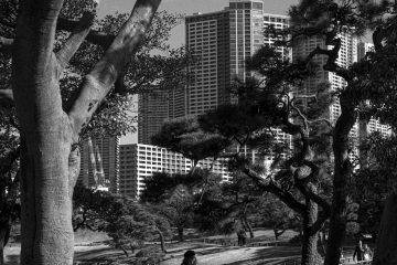 Hama Rikyu Gardens in Tokyo - Photography by Christopher King