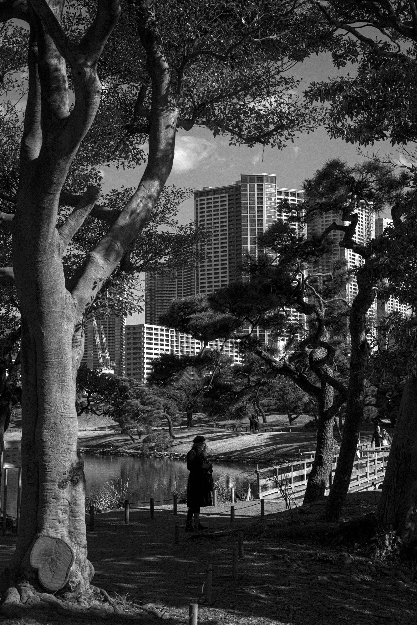 Hama Rikyu Gardens in Tokyo - Photography by Christopher King